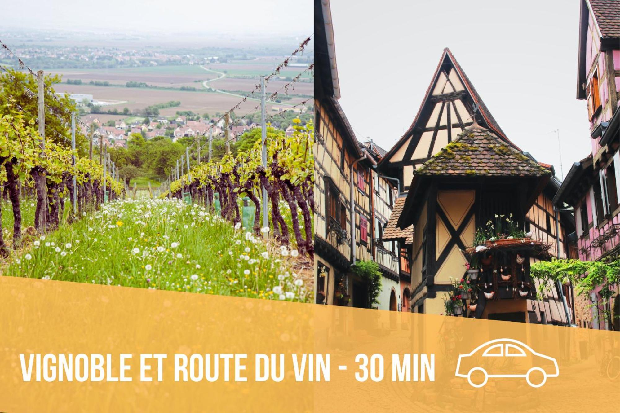 Les Pinots D'Alsace - 3 Bungalows Climatises Avec Tv - Proche Europa Park Boofzheim Værelse billede
